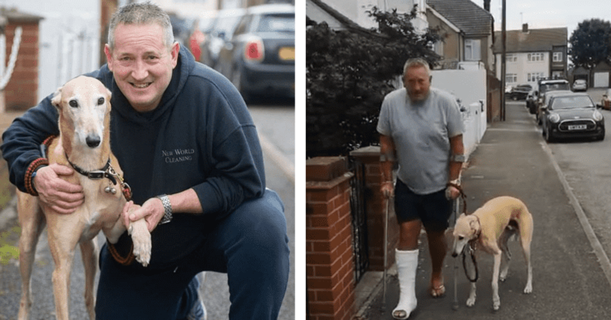 'Nothing wrong, just sympathy': Man spends $400 on vet to find out limping dog was imitating him