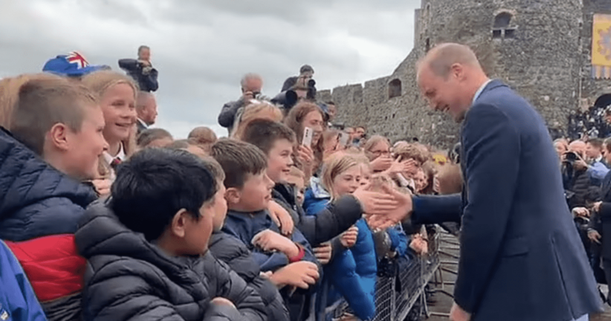 'Will never wash my hands again': Irish schoolboy squeals in delight after meeting Prince William and Kate, Princess of Wales