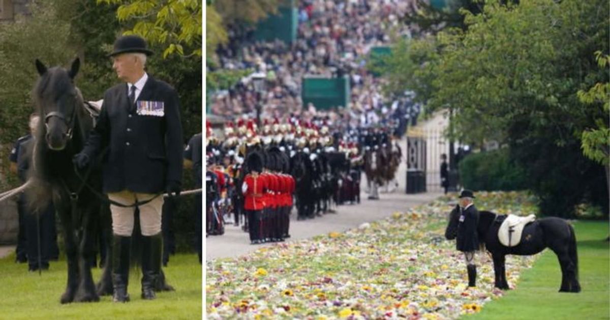 Where is Emma the Fell Pony? Royal family shares update about Queen Elizabeth's beloved animal