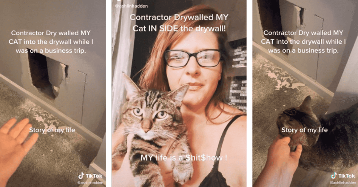 A PURRFECT ENDING: Indiana woman reunited with missing cat as it meows inside sealed wall erected days ago