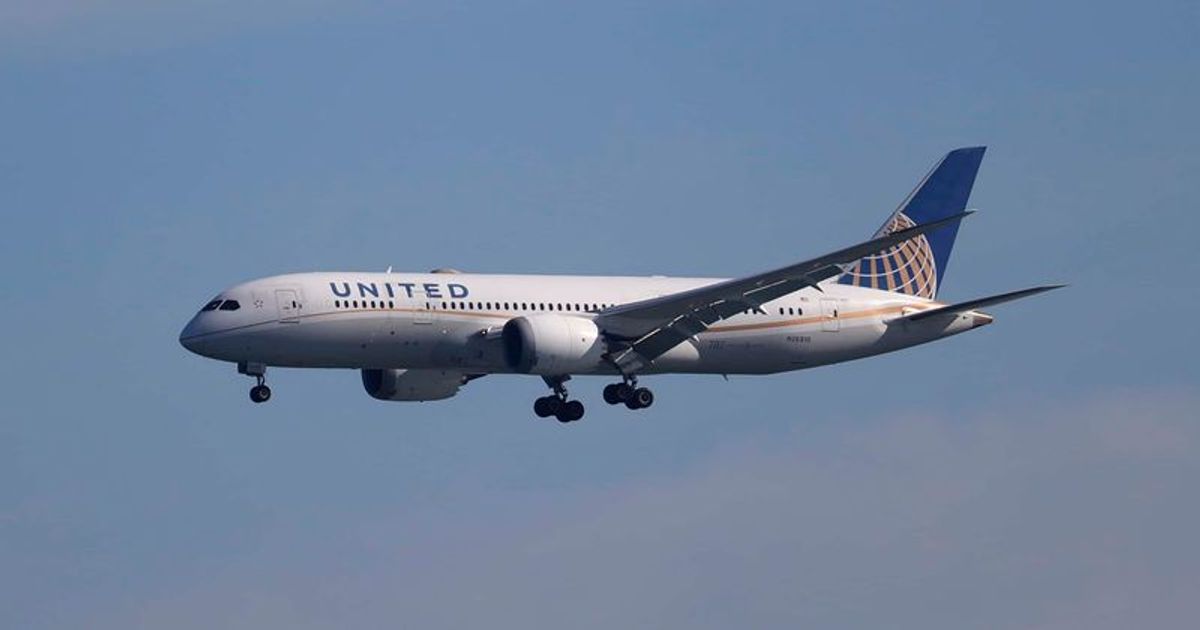 Flyer high on magic mushrooms arrested for 'twisting' flight attendant's breast and breaking bathroom door