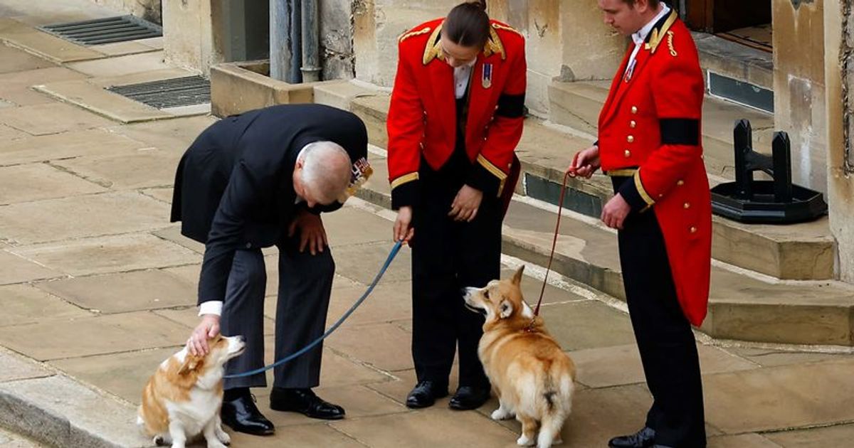 Muick and Sandy are fine: Sarah Ferguson gives update on Queen's corgis that she and Andrew adopted