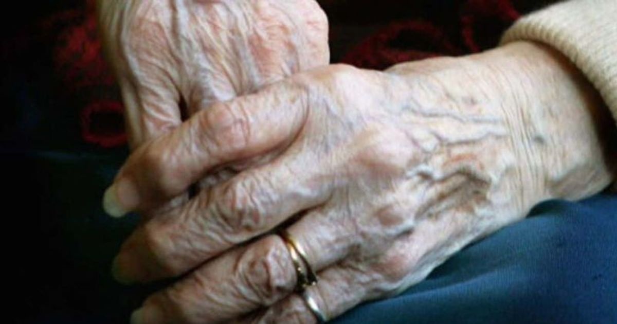 'Last beautiful chapter of our lives': Two grandparents fall in love after exchanging over 200 emails