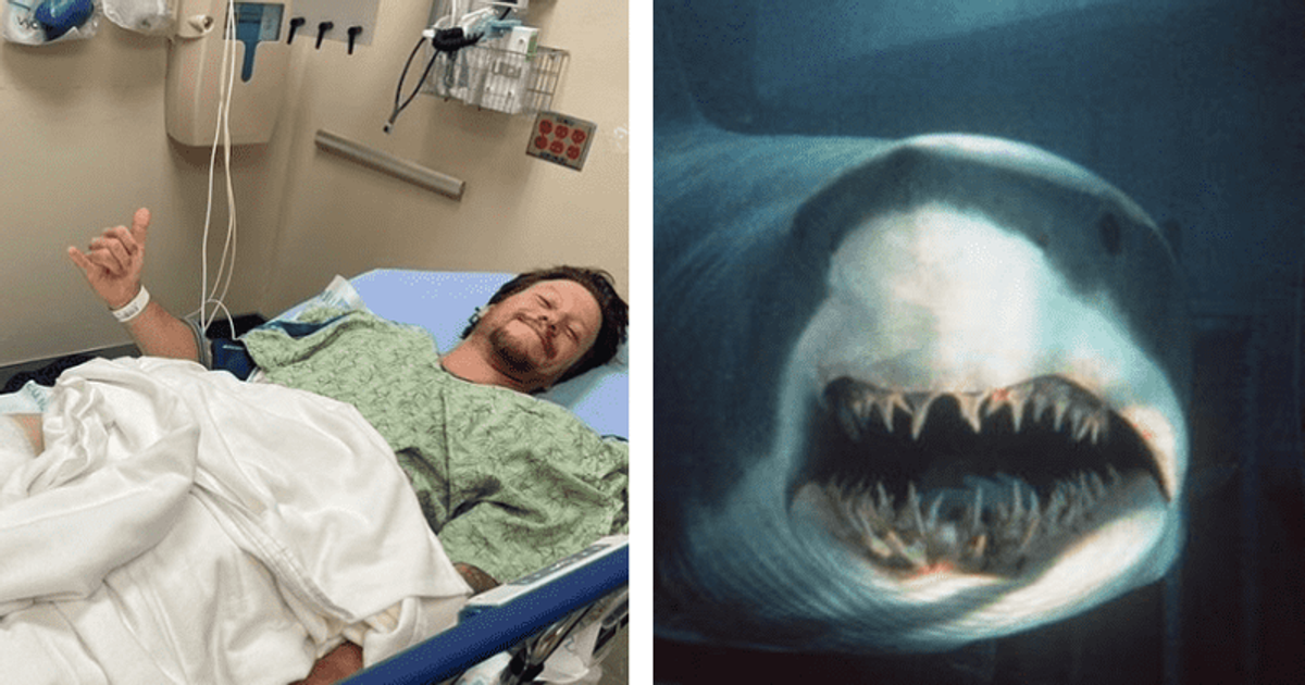 Jared Trainor: California surfer SURVIVES shark attack by kicking Great White in the head and clinging to it