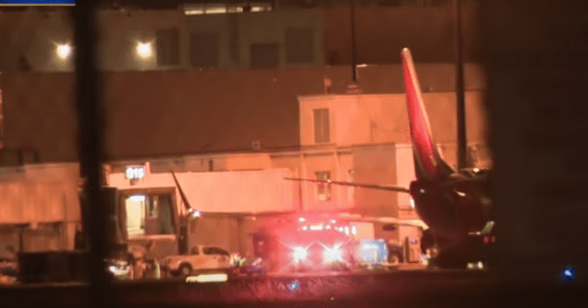 American Airlines flight forced to land at Miami airport after 'chemical odor' makes passengers sick