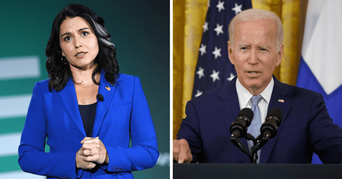'Isn't her 15 minutes of fame over?': Tulsi Gabbard blasted for comparing Joe Biden to Hitler