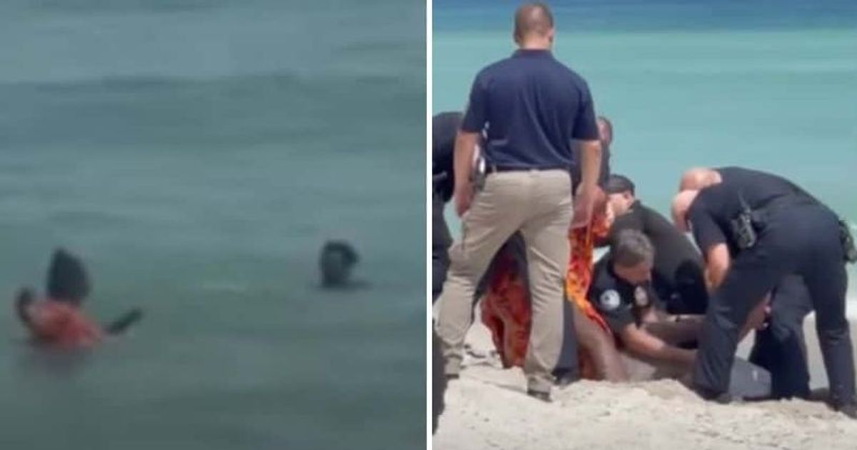 Couple who tossed pet kitten like frisbee on Miami beach and sought $1,000 to stop the CRUEL act arrested