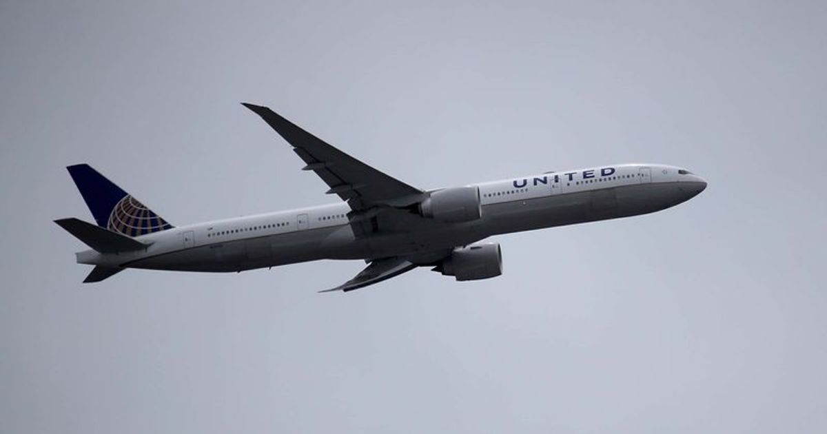 Flyers 'shriek' in fear as snake slithers in business class of United Airlines flight