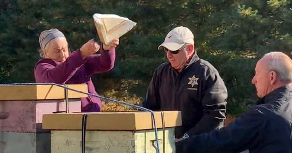 'Oh, you’re allergic? Good': Massachusetts woman releases swarm of bees on cops serving eviction notice