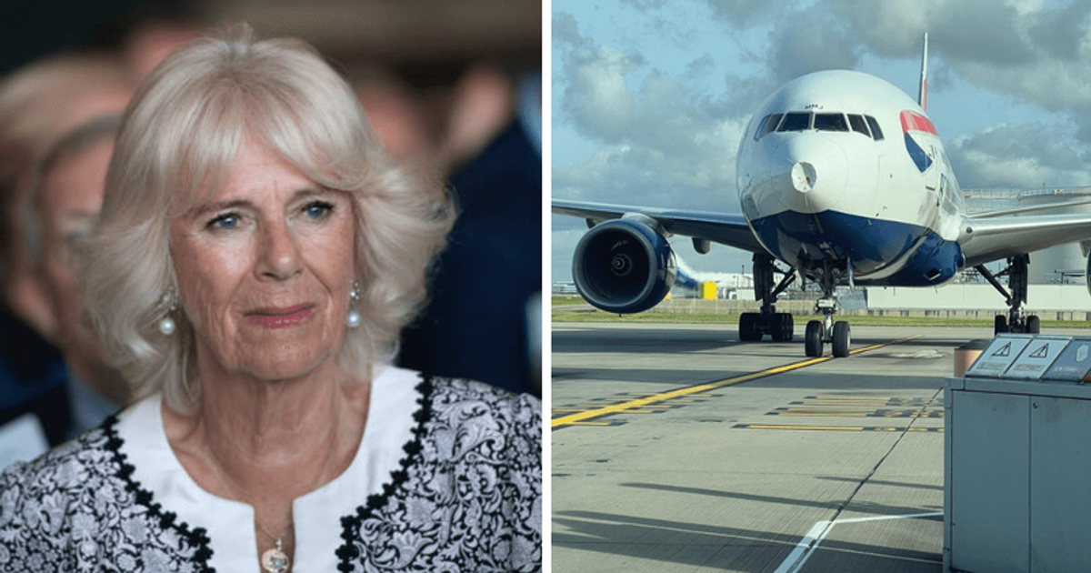 Mid-air scare for Queen Consort Camilla after plane suffering damage when bird struck it