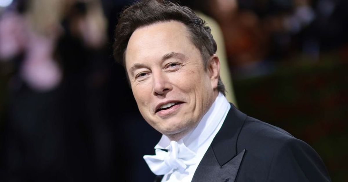 'He owns Twitter': Internet in splits as Elon Musk pokes fun at 'autogenerated' welcome e-mail