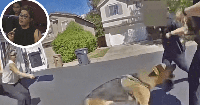 Faryal Kabir: Devastated LA woman placed on suicide watch for second time after her puppy was euthanized
