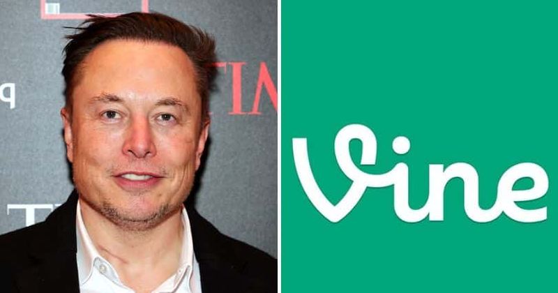 Is Elon Musk reviving Vine? New Twitter boss's poll receives a resounding yes from users
