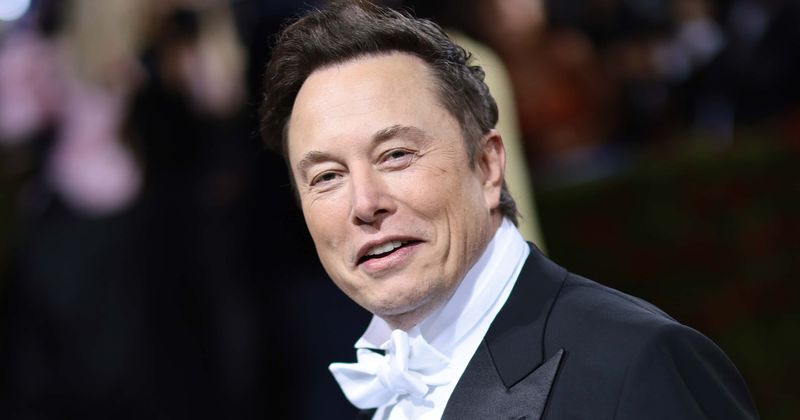 'This is just temporary': Elon Musk disrupts Twitter with bulk firing, dismisses board of directors