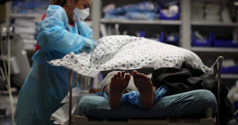 Nurse amputates frostbitten foot of dying man without his permission to display in family's taxidermy shop