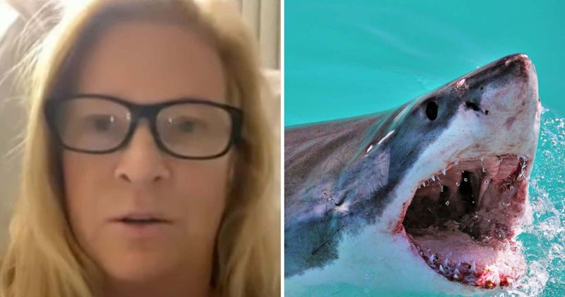 ‘I saw it clamp on my leg’: Lyn Jutronich recalls horror of GREAT WHITE shark attack at Del Mar