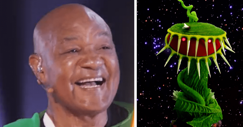 'The Masked Singer' Season 8 Hall of Fame Night: Venus Flytrap is Olympic gold medalist George Foreman, here are the clues