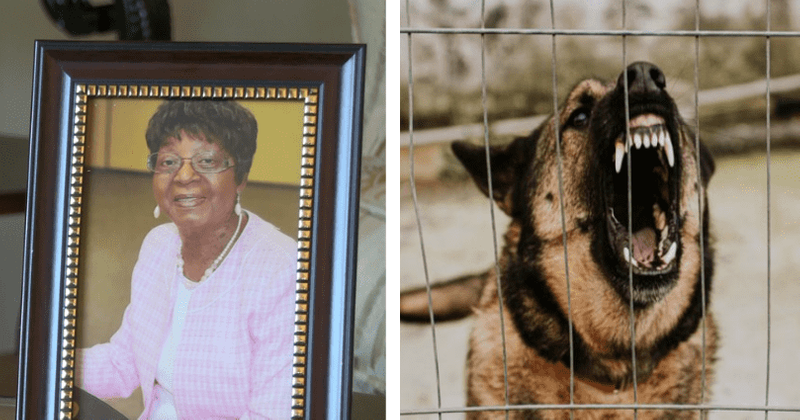Virginia woman, 88, mauled to death by dog on her morning stroll remembered as 'salt of the Earth'