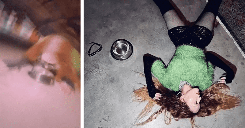 'Definitely not aging gracefully': Fans cringe over Madonna's new video as singer licks water from dog bowl