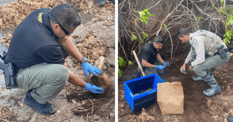 Hurricane Nicole unearths 200-year-old remains of at least six Native Americans on Florida beach