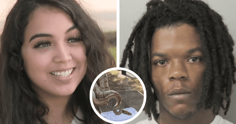 'He was scared of the snake': Ball python saves owner from attempted robbery at gunpoint