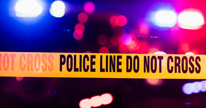 Homeowner shoots and kills intruder armed with ‘large rock’, police calls it 'self defence'