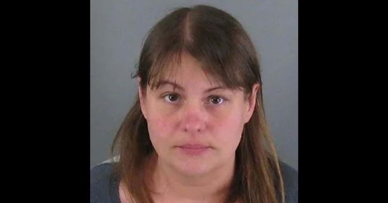 'Why did I have a child?' Connecticut mom posted chilling tweet before killing son, 8, and burning home