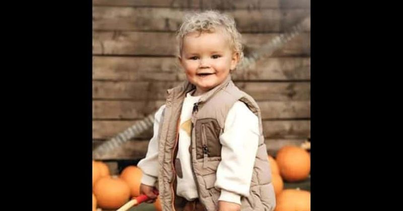 Community heartbroken as 'precious and adored' two-year-old boy dies after being hit by tractor on farm
