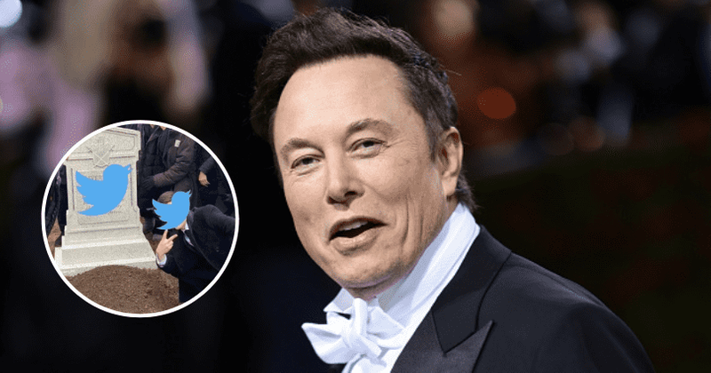 'I am not super worried': Elon Musk mocks #RIPTwitter trend with grave meme as resignations pile up