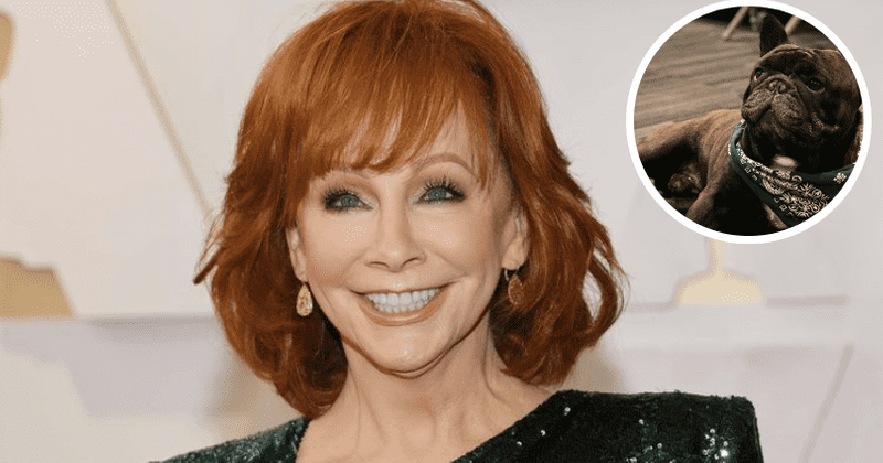 'He was a grand champion': Reba McEntire pens warm tribute for her 'Angel' dog Riddler who died of cancer