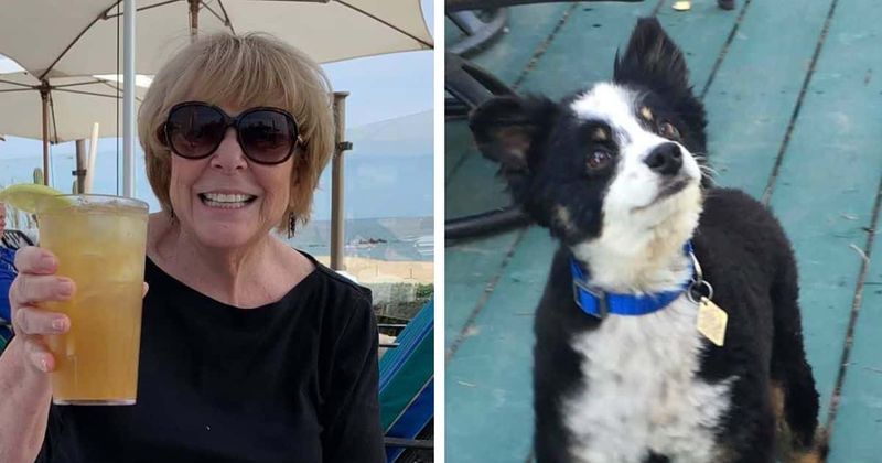 Who is Pam Colbert? Woman's dog may have been killed with same knife used in University of Idaho murders