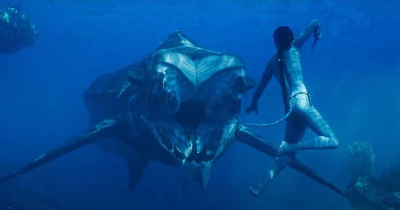 'Avatar: The Way of Water' FINAL trailer sees clans clashing in STUNNING underwater battle