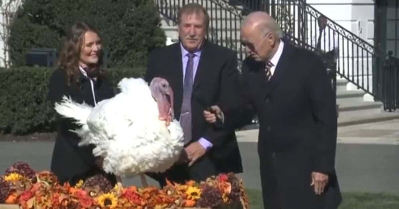 ‘No ballot stuffing, no fowl play’: Joe Biden jokes as he pardons Thanksgiving turkeys Chocolate and Chip