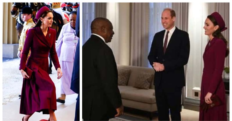 Kate Middleton accessorizes Emilia Wickstead coat dress with Diana's Collingwood earrings to greet SA president
