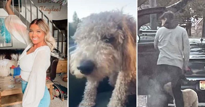Idaho massacre: Kaylee Goncalves's dog unharmed at murder scene, handed over to ex-BF Jack DeCouer