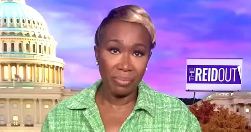 'She's tragic': Internet blasts 'race-baiting' Joy Reid for calling Thanksgiving ‘simplistic fairytale’