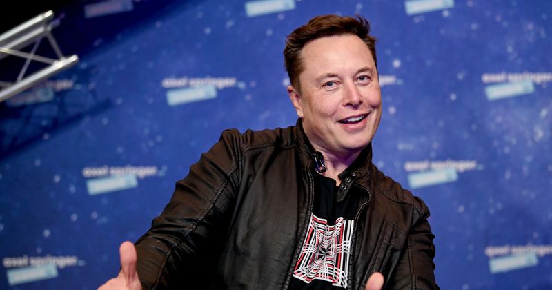 Elon Musk to reinstate previously suspended Twitter accounts amid 'mass amnesty'