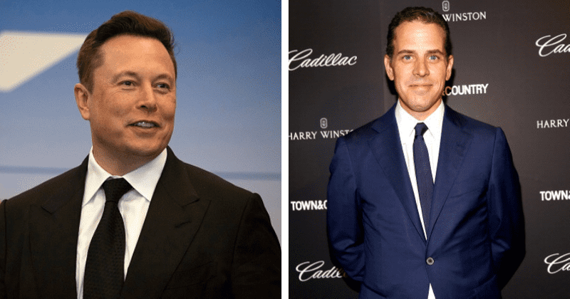 'Necessary to restore public trust': Elon Musk vows to reveal why Twitter censored Hunter Biden laptop story