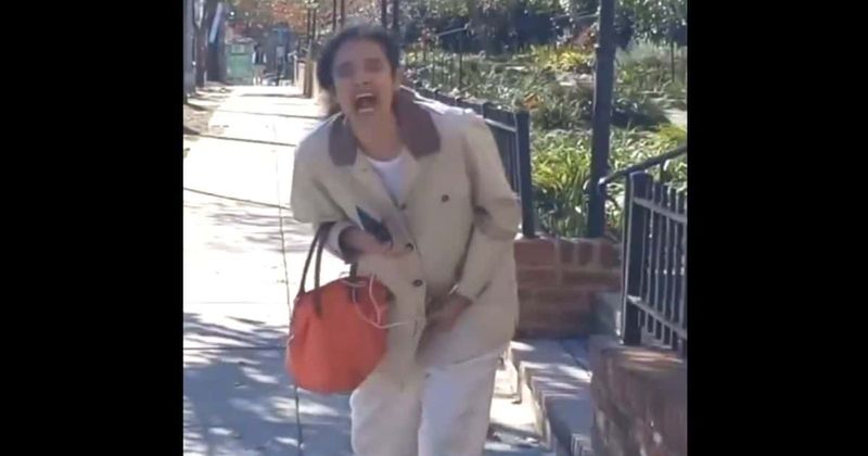 Is DC Karen White? Race-baiting trolls spark calls to ID woman who hurled sick racial slurs at Uber driver