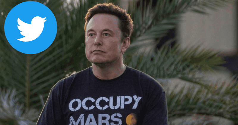 What are the three types of Twitter verification? Elon Musk says new offering will launch next week