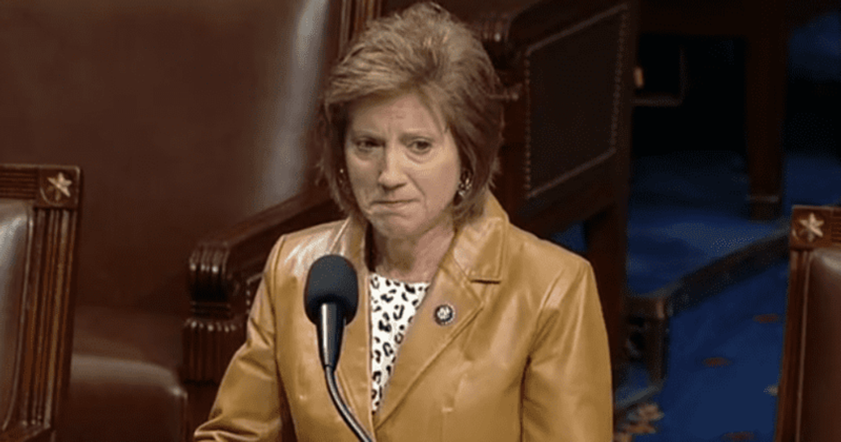 Who is Vicky Hartzler? Congresswoman sobs as she begs colleagues to vote against same-sex marriage bill