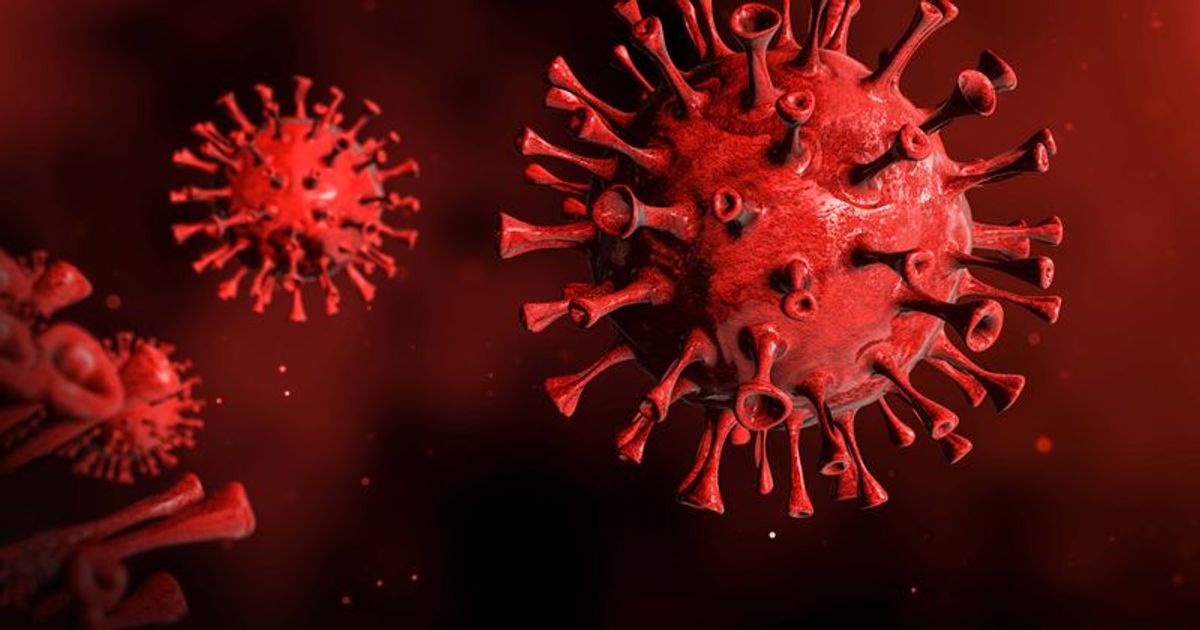 What is XBB.1.5? A new and devastating Covid-19 surge could be on its way, CDC data shows