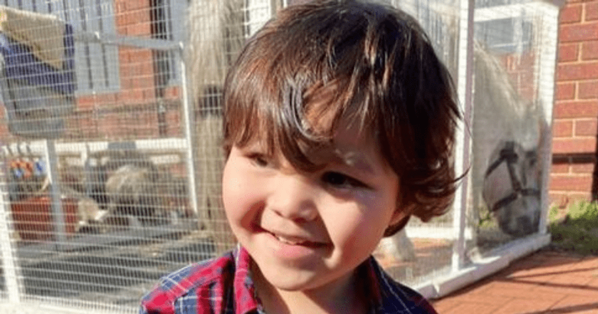 Isaac Powell: 3-year-old's body found in neighbor’s pool after he went missing while moving into new home