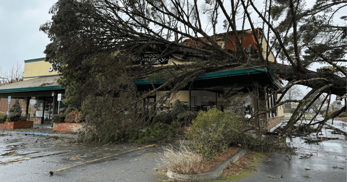 Two-year-old boy killed after giant redwood tree falls on trailer home as bomb cyclone hits California