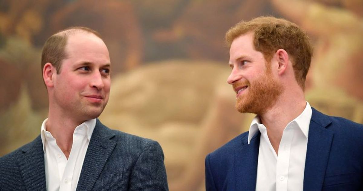 'More advanced than mine': Prince Harry quips about Prince William's hair loss in tell-all memoir 'Spare'