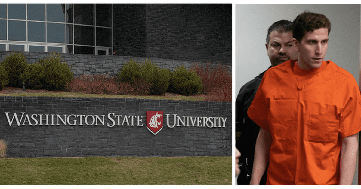 'School is out of the picture': Internet debates Bryan Kohberger's return to WSU if 'found innocent'