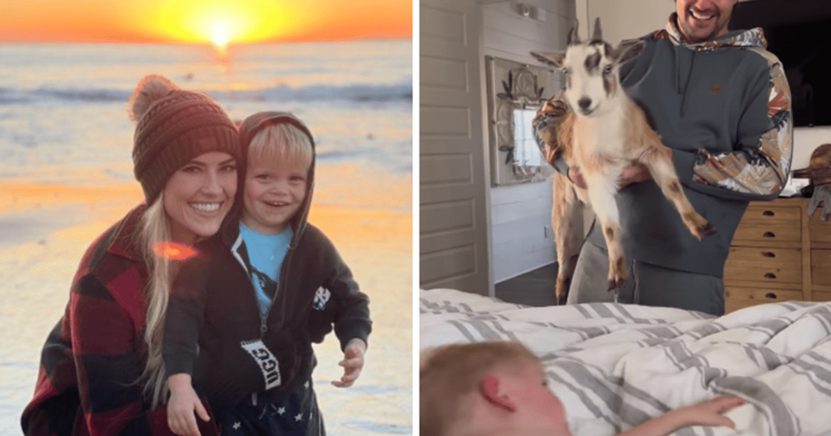 'Not feeling the alarm': Christina Hall’s 4-year-old son's reaction to seeing goat leaves Internet in splits