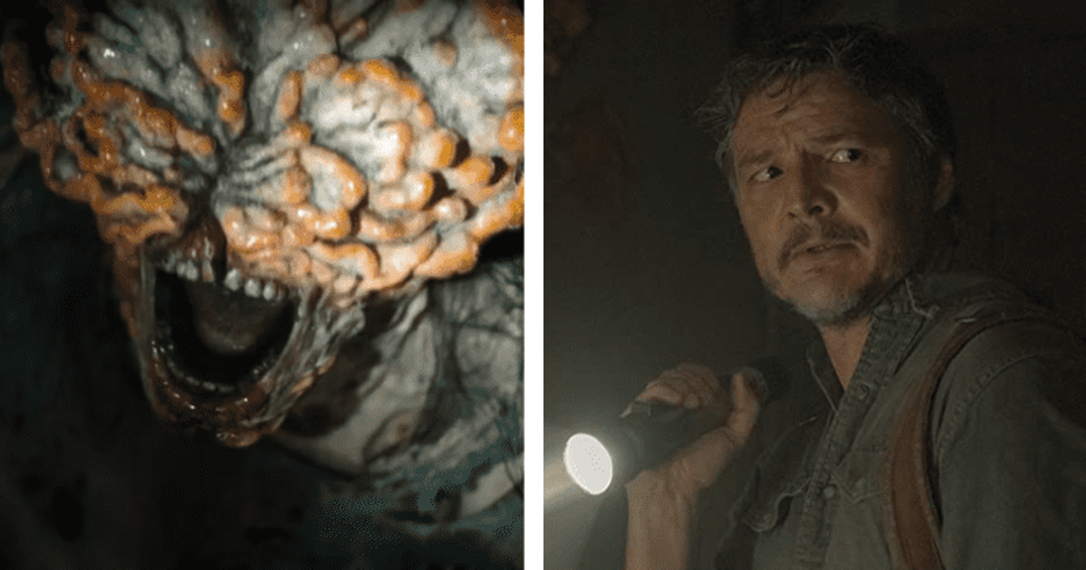 'A nightmare situation': Internet shocked as 'The Last of Us' creator says the 'zombie fungus' is real