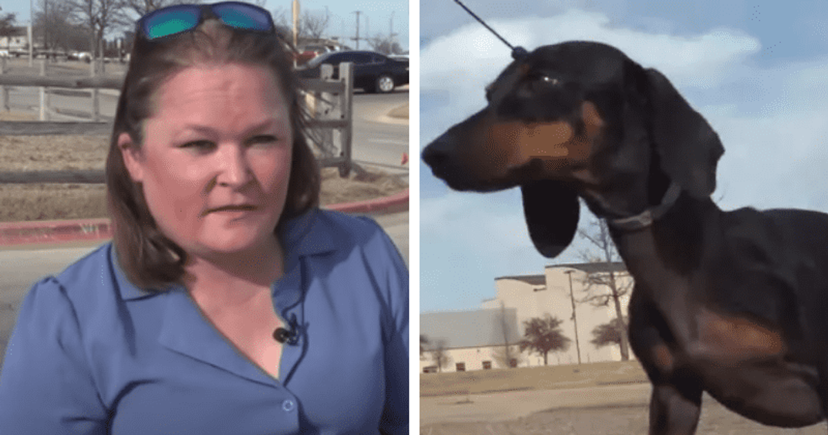 Road Warrior's Road to Recovery: Texas woman rescues dog in critical condition from abandoned backpack