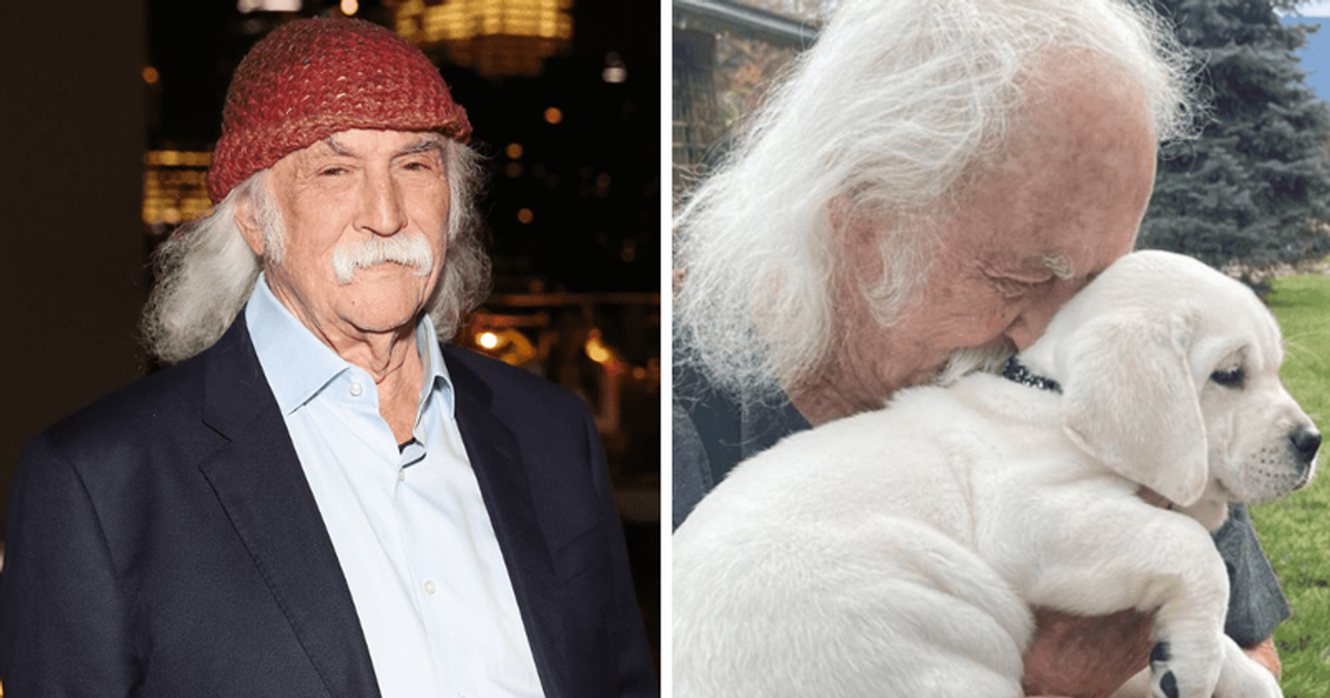 David Crosby's LAST PHOTO: Musician was cuddling adorable puppy in picture posted by wife Jan before death